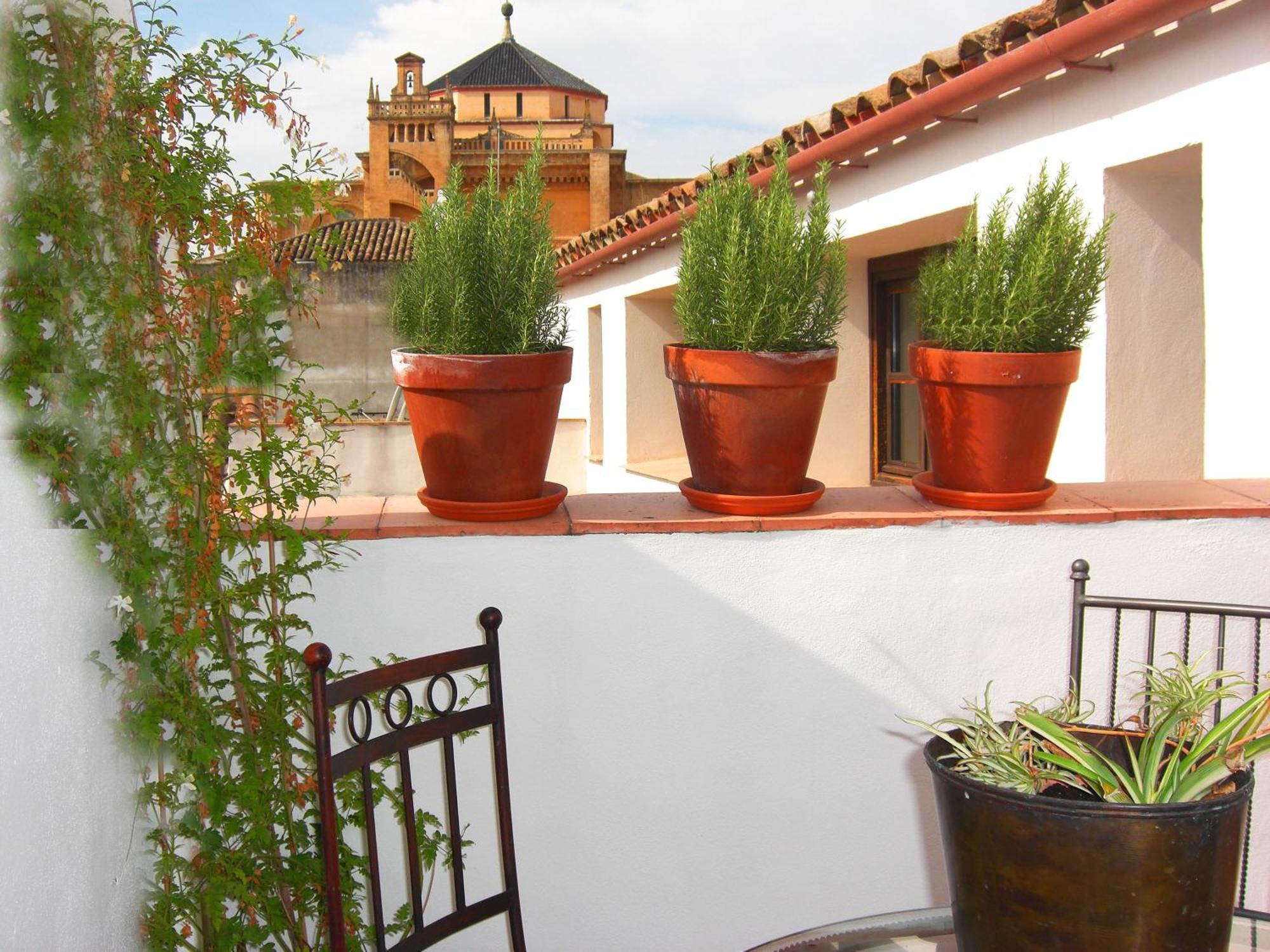 Apartamentos Los Patios De La Juderia Córdoba Exterior foto